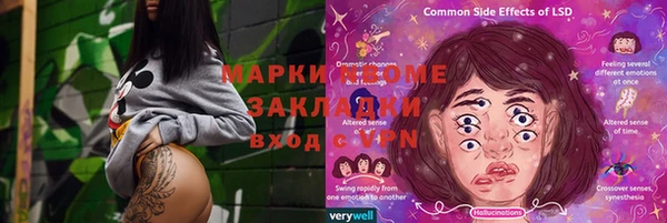 шишки Покачи