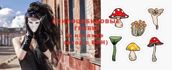 шишки Покачи