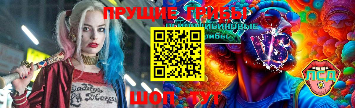 Галлюциногенные грибы Magic Shrooms  Вход с VPN  Узловая  Галлюциногенные грибы Cubensis 