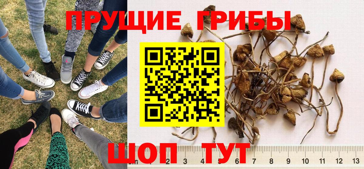 Галлюциногенные грибы Magic Shrooms Узловая