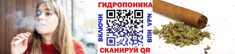 Каннабис конопля Узловая